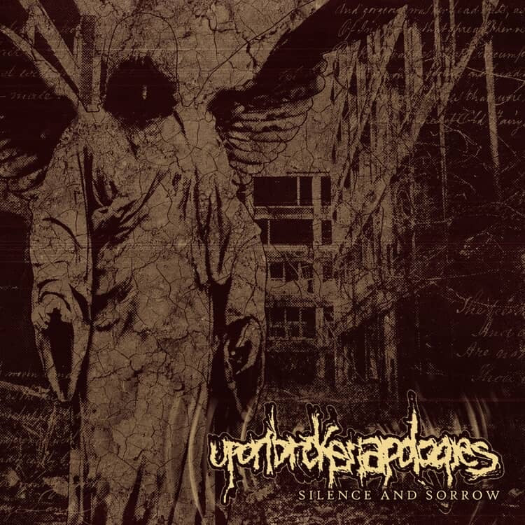Upon Broken Apologies - Silence and Sorrow